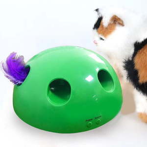 Premium Peek-A-Boo Cat Toy
